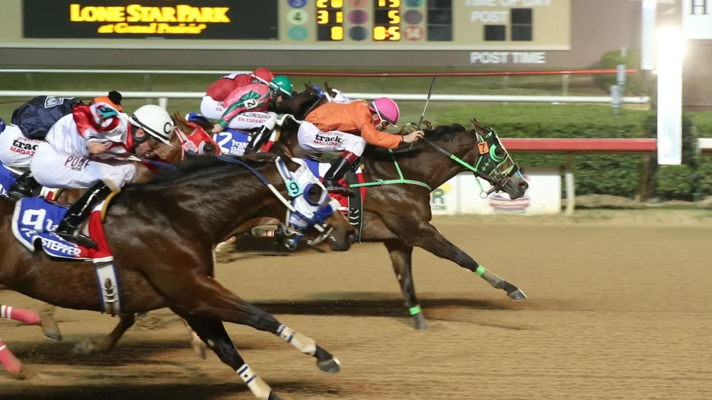 Carreras de caballos apuestas