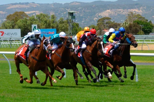 Las mejores casas de apuestas caballos en Espana