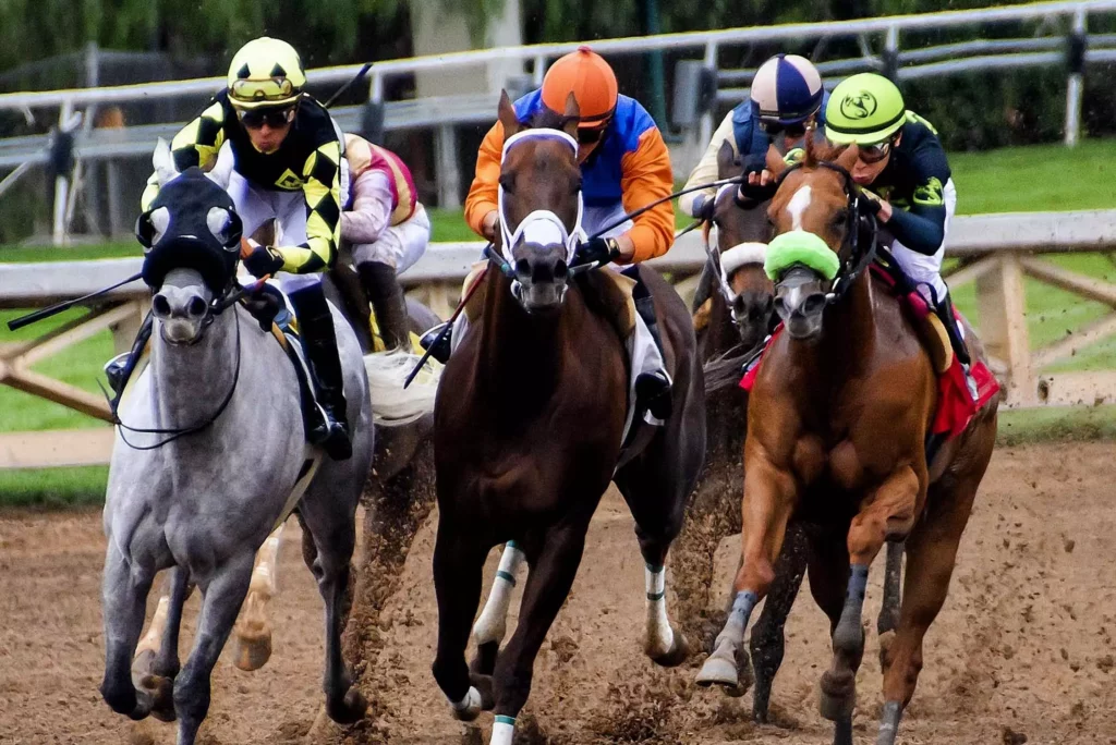 Apuestas en carreras de caballos