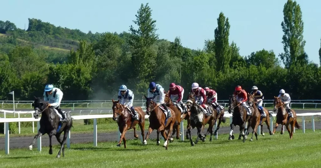 Pronósticos carreras