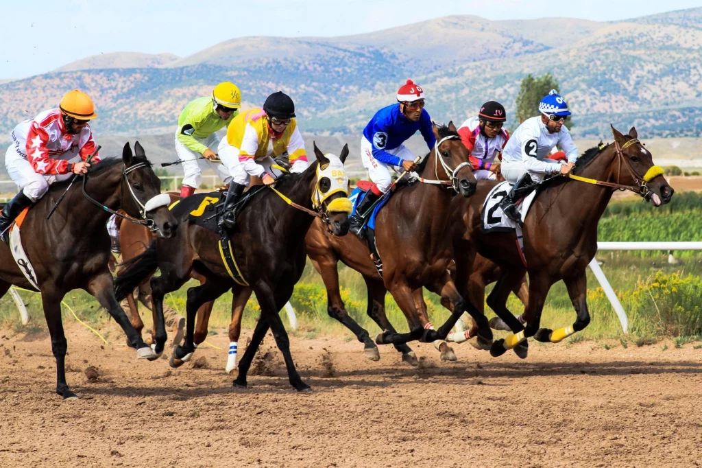 Apuestas carreras de caballos en vivo 