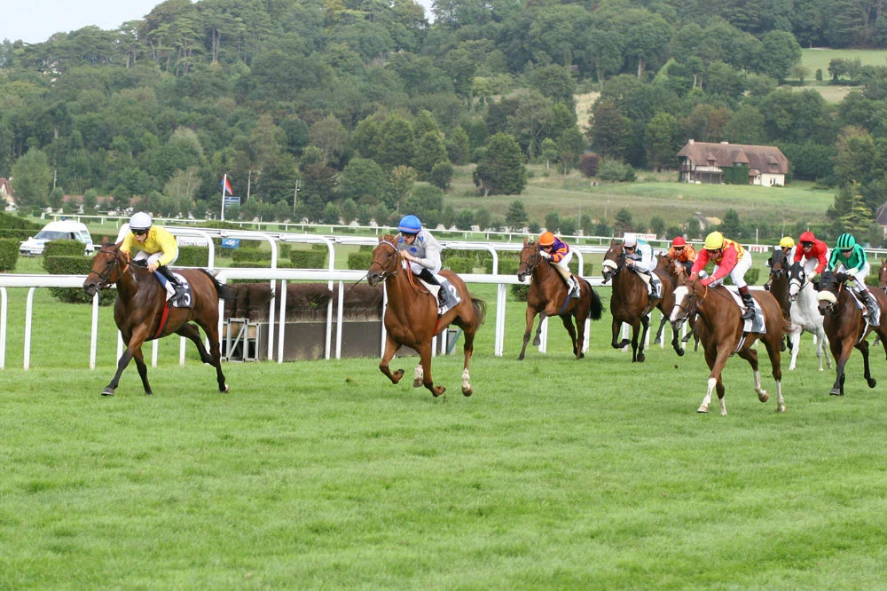caballos