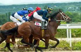 caballos