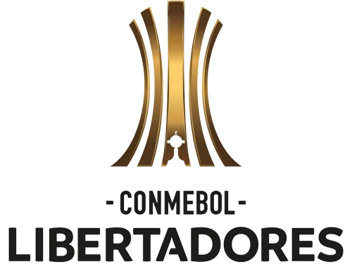 Copa Libertadores / Sudamericana