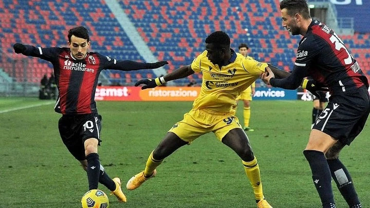 Bologna y Verona